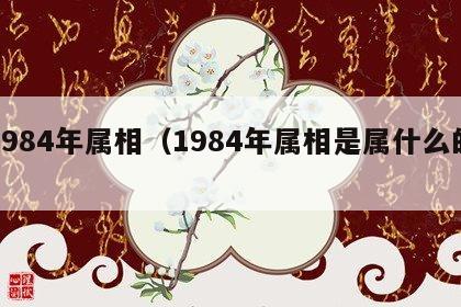 1984年属相（1984年属相是属什么的）