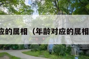 年龄对应的属相（年龄对应的属相是什么）