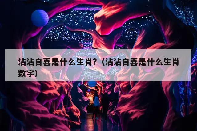 沾沾自喜是什么生肖?（沾沾自喜是什么生肖数字）