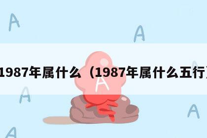 1987年属什么（1987年属什么五行）